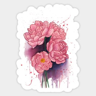 Peonies illustration 1 Sticker